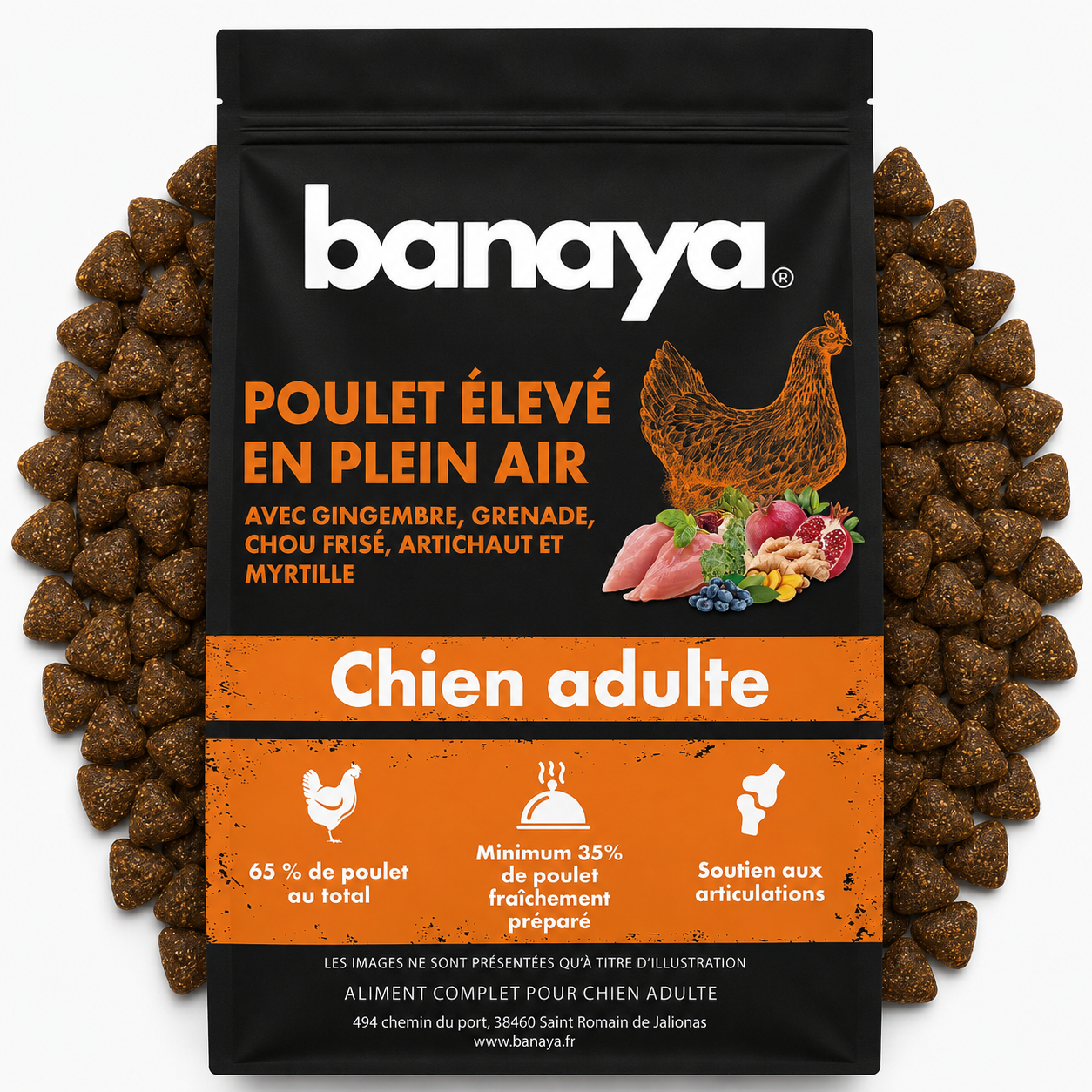 Croquettes Poulet - Grand Chien +10kg