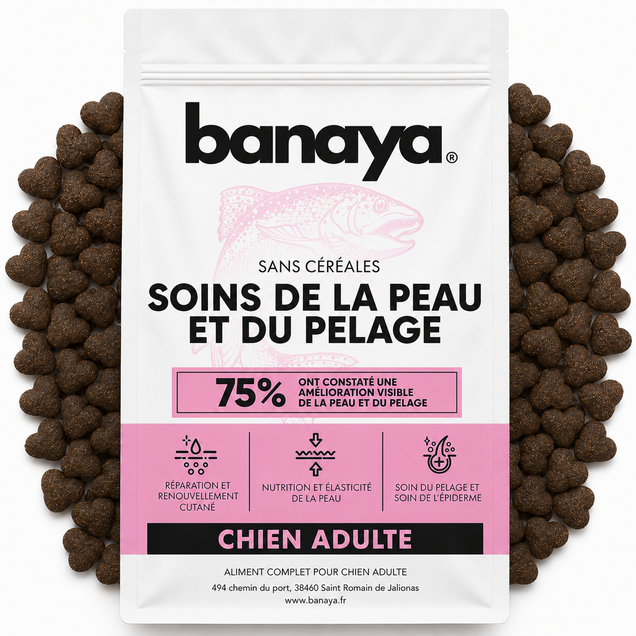 Croquettes Soins Peau et Pelage - Saumon