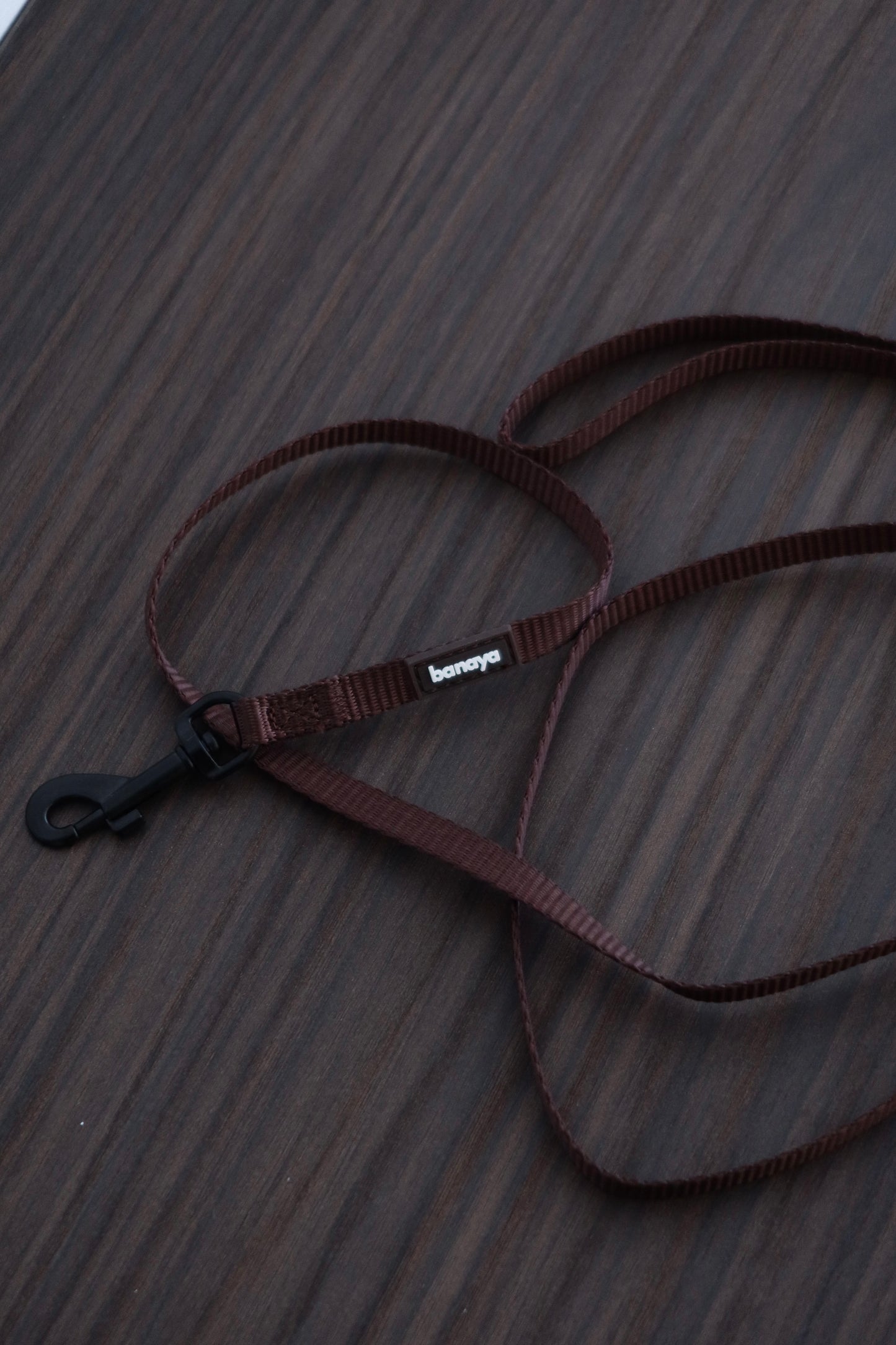 Laisse chocolat chiot / chaton 1,2m