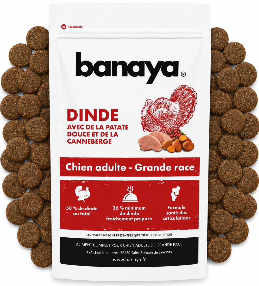 Croquettes Dinde et Poulet - Chien Grande Race +25kg