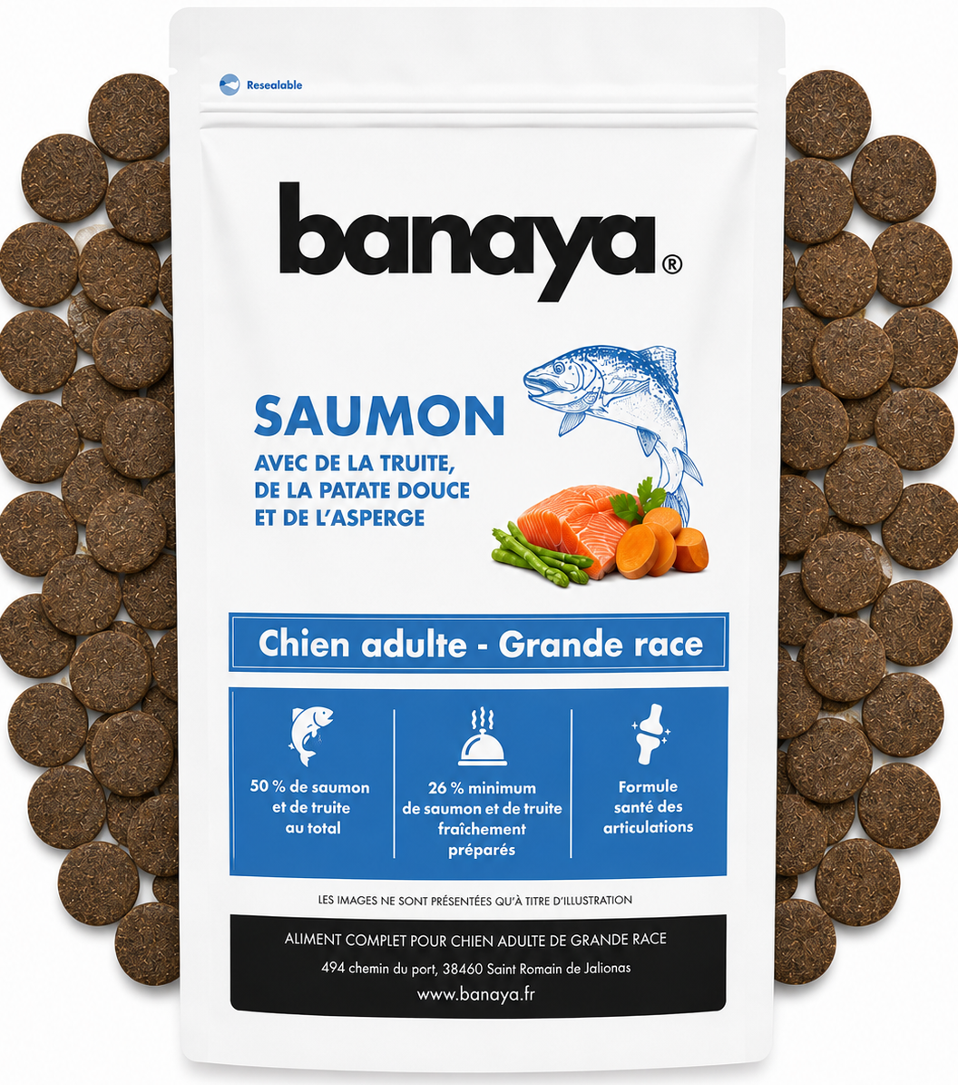 Croquettes Saumon - Chien Adultes Grande Race +25kg