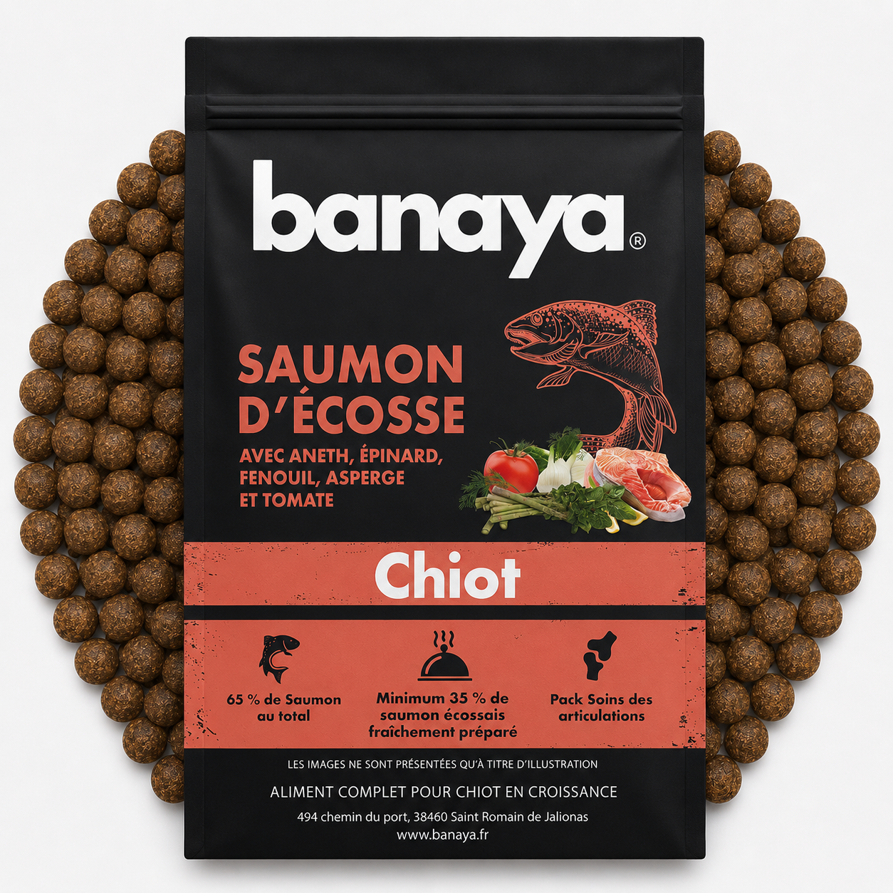 Croquettes Saumon d'Écosse - Chiots Grande Race