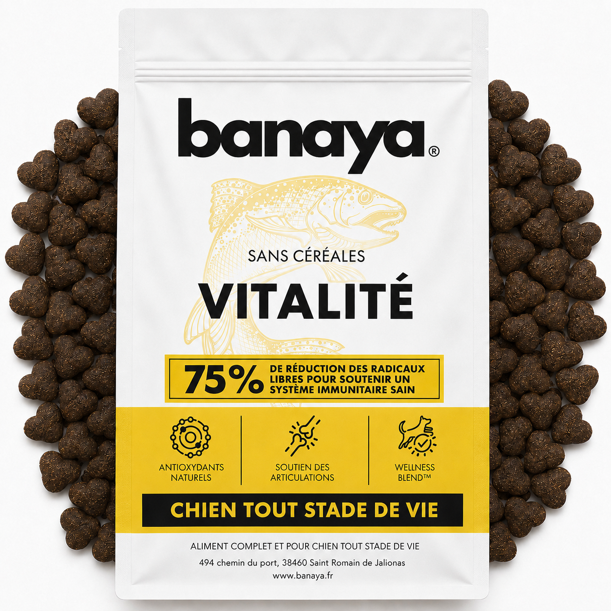 Croquette Saumon et Vitalité - Toutes races et tout âge