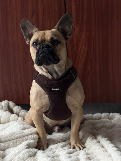 Harnais + Laisse + sac en fourrure