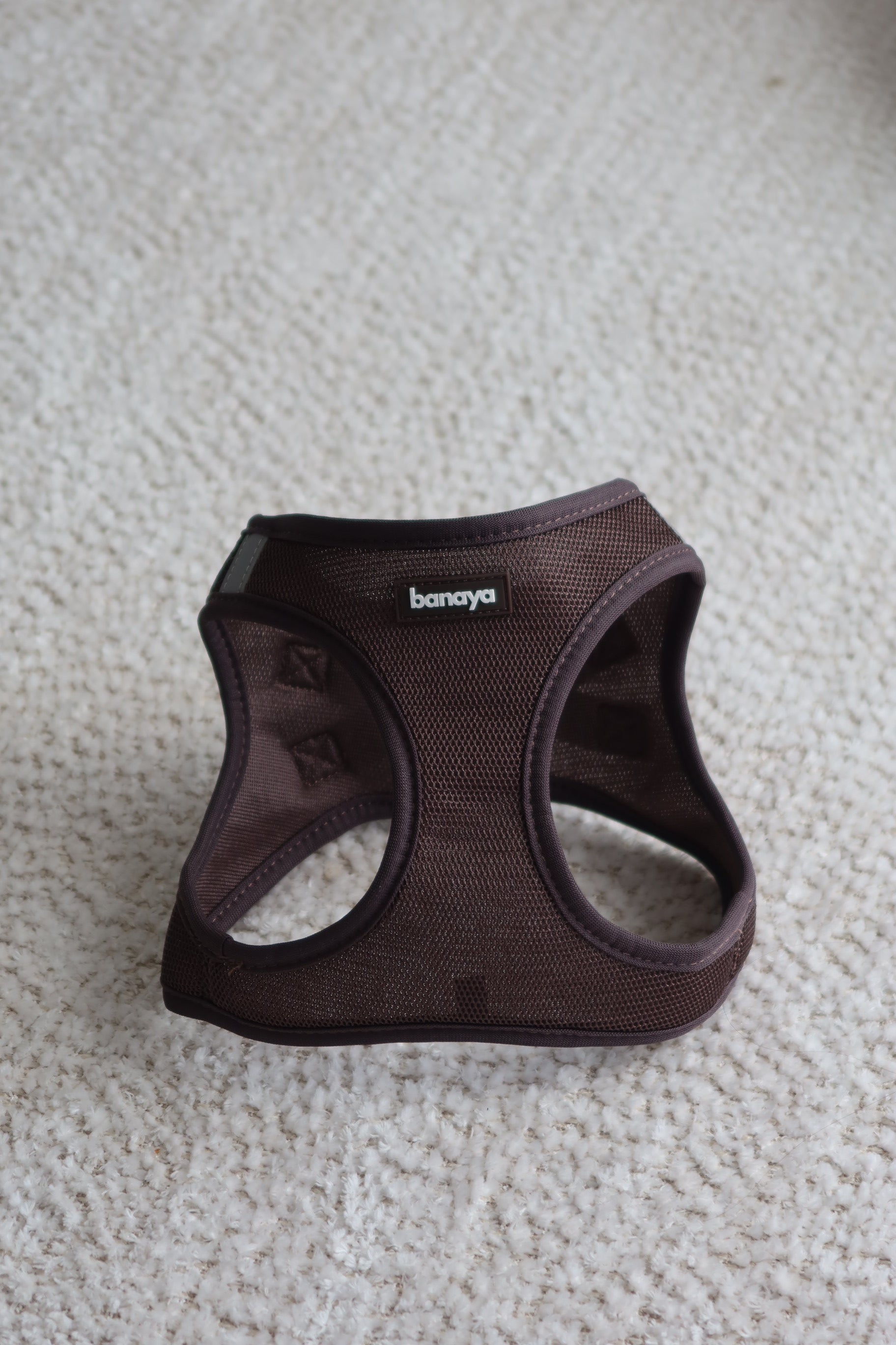 Harnais Été Moka / Édition limitée