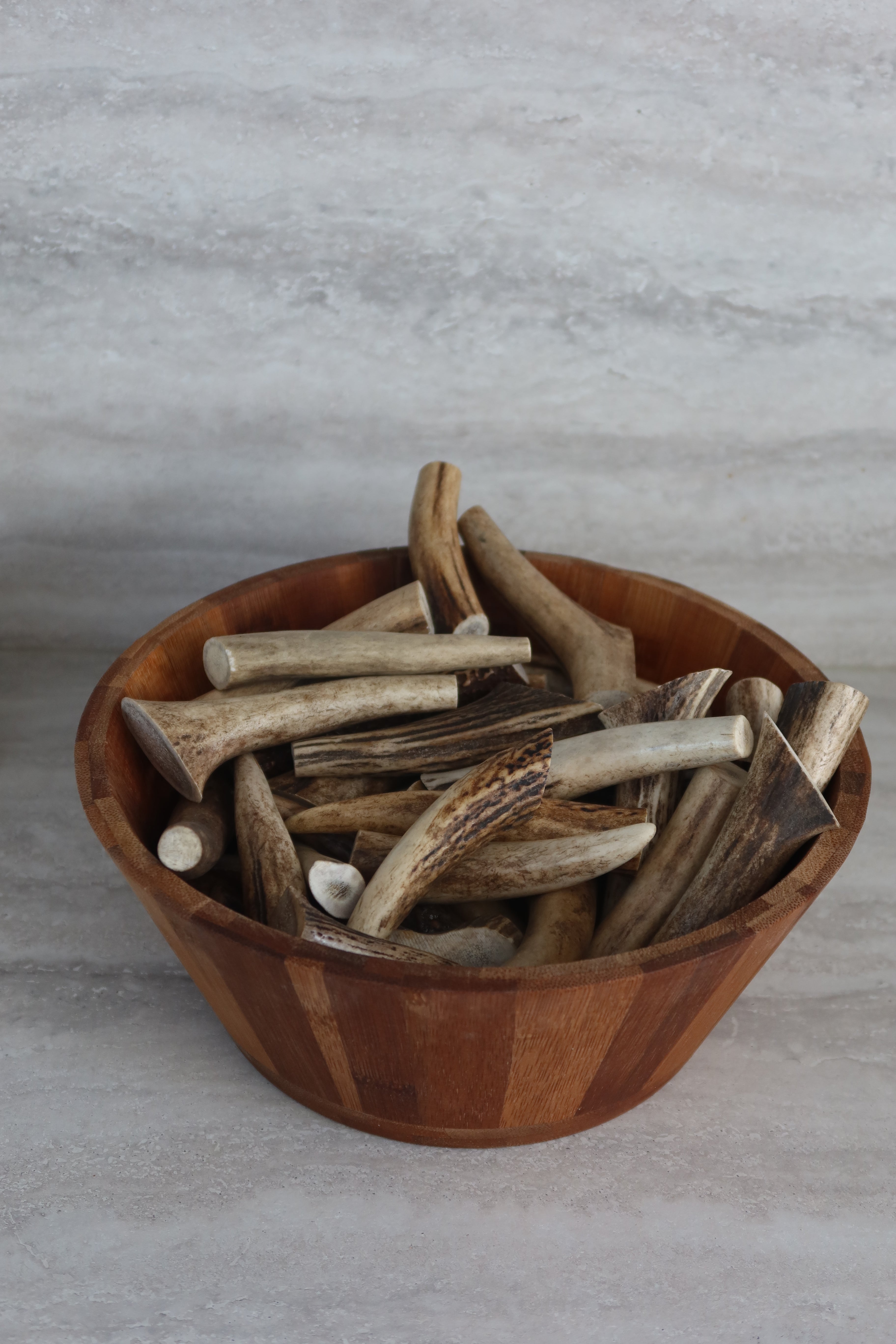 Bois de cerf entier - pour chien
