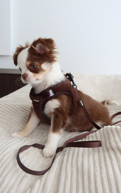 Laisse chocolat chiot / chaton 1,2m