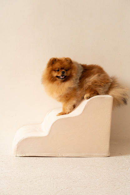 Escalier pour Chien – Coloris Beige