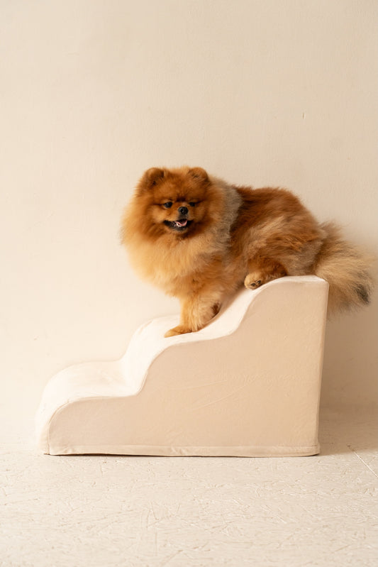 Escalier pour Chien – Coloris Beige