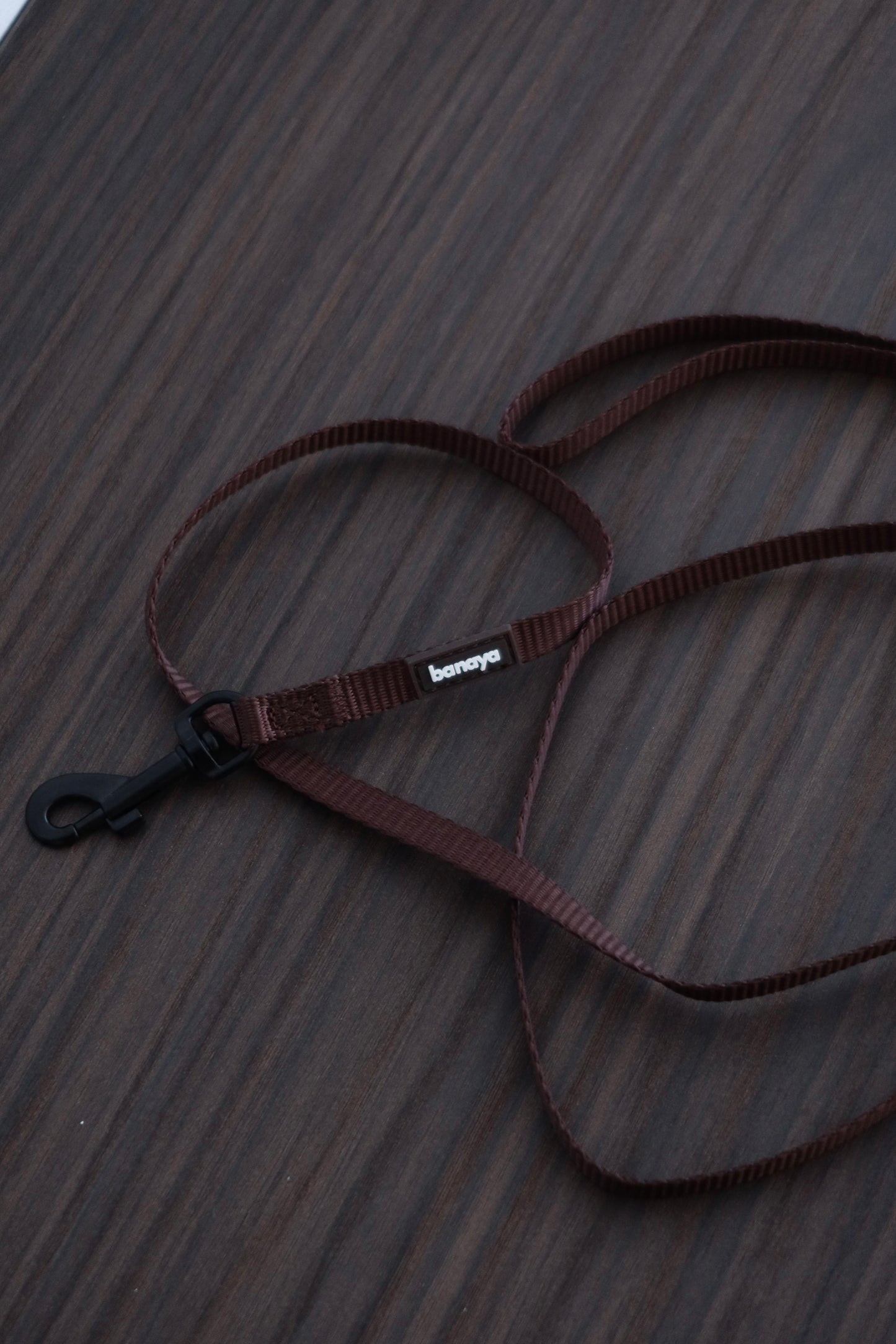 Laisse chocolat chiot / chaton 1,2m