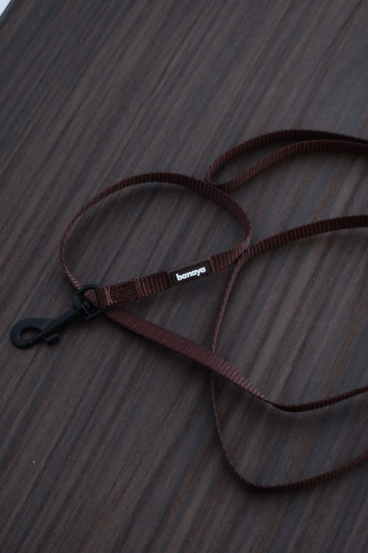 Laisse chocolat chiot / chaton 1,2m