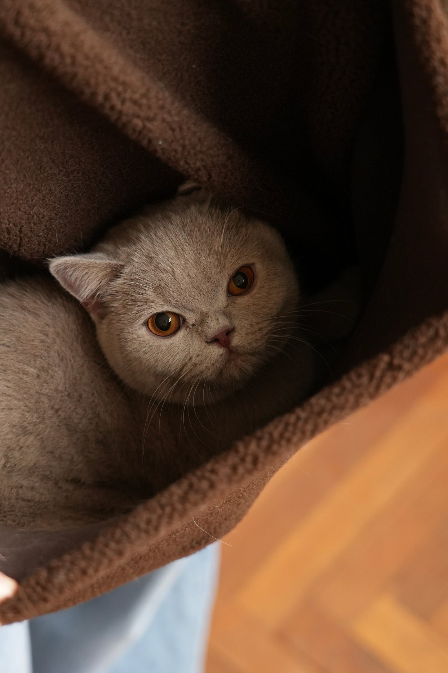 Pull Moka édition limitée