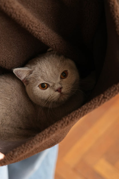 Pull Moka édition limitée