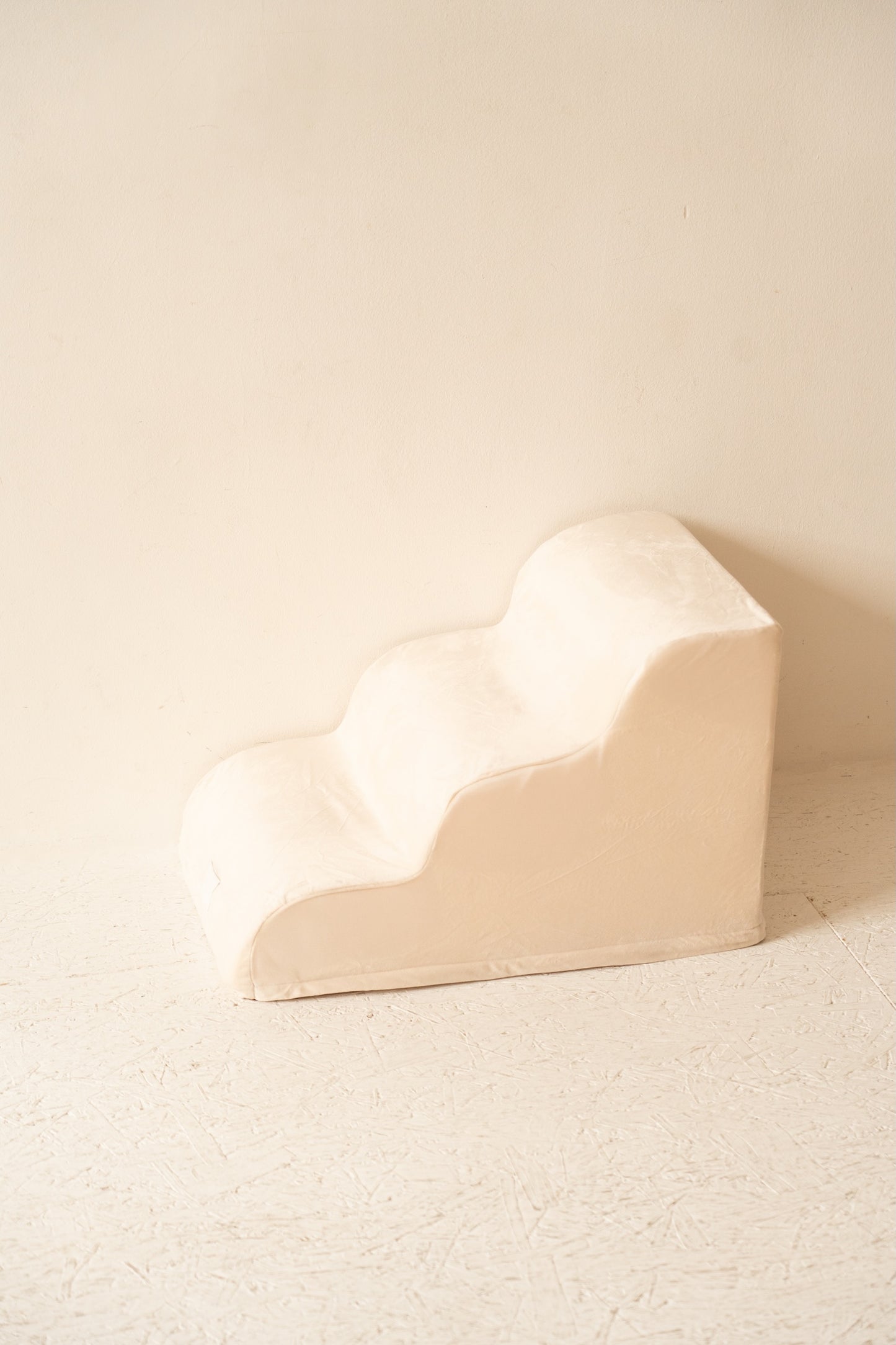 Escalier pour Chien – Coloris Beige