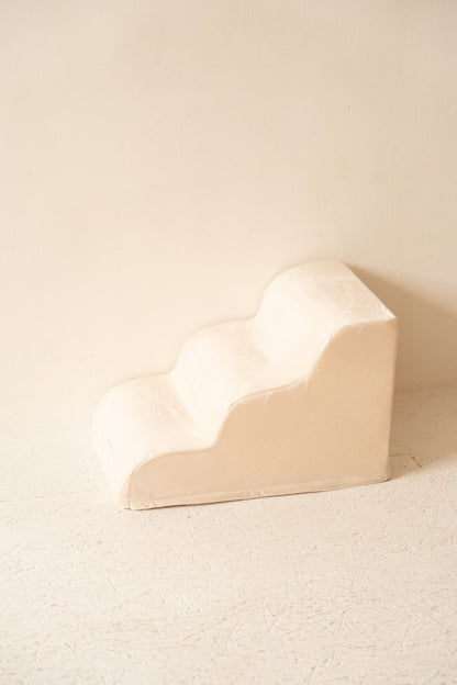 Escalier pour Chien – Coloris Beige