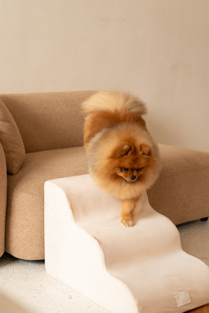 Escalier pour Chien – Coloris Beige