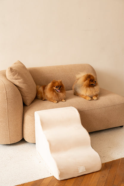 Escalier pour Chien – Coloris Beige