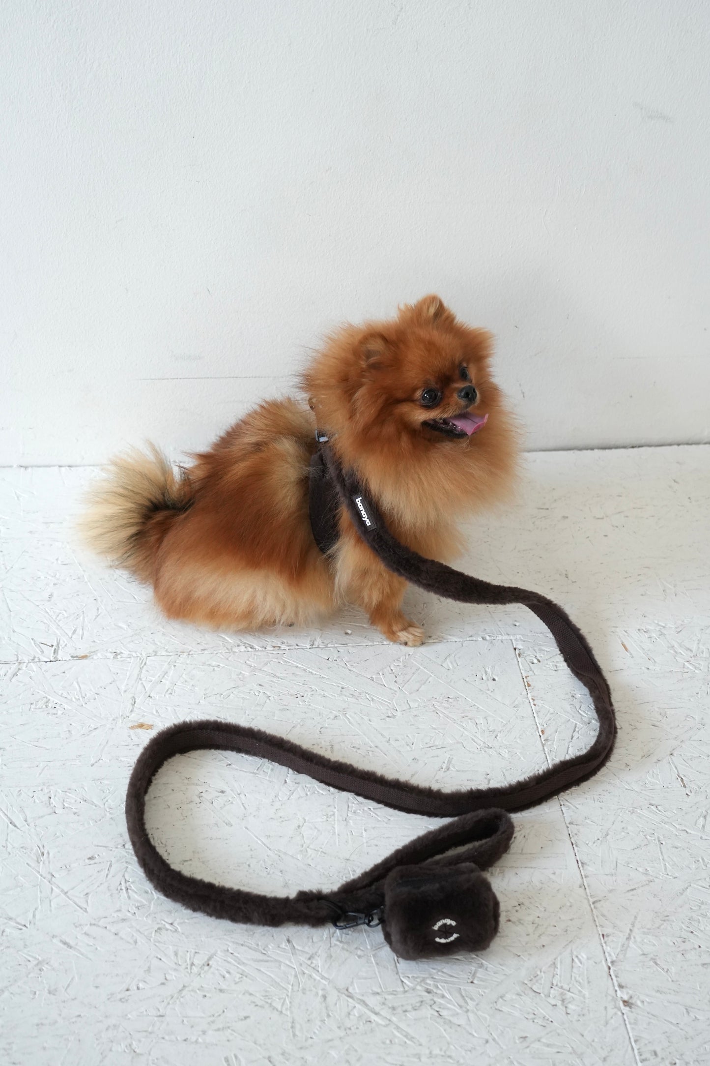 Harnais + Laisse + sac en fourrure