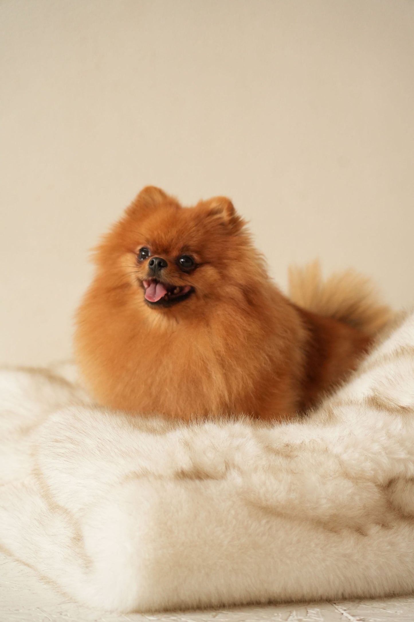 Le Moon – Grotte en Fausse Fourrure Haut de Gamme