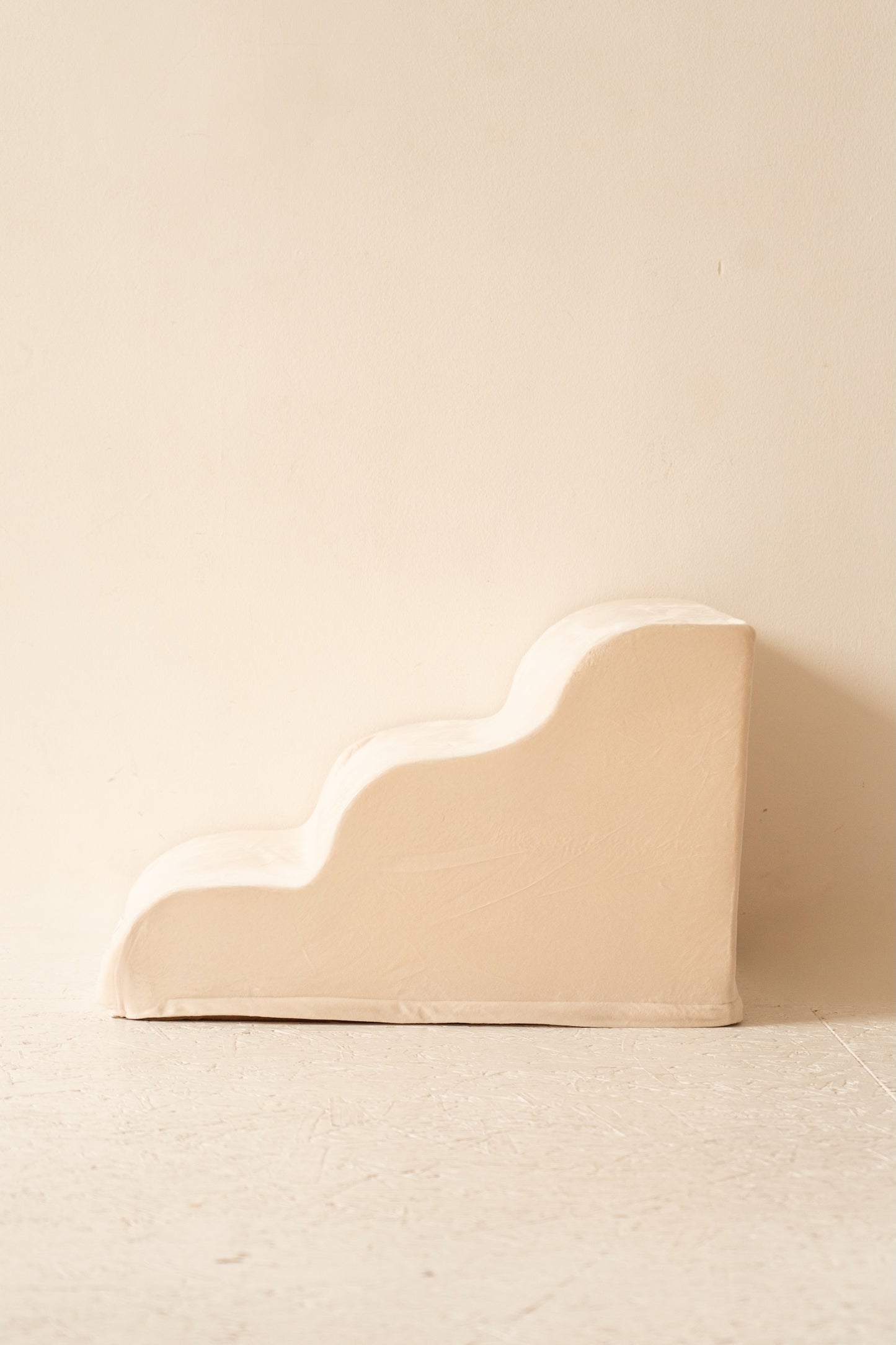 Escalier pour Chien – Coloris Beige