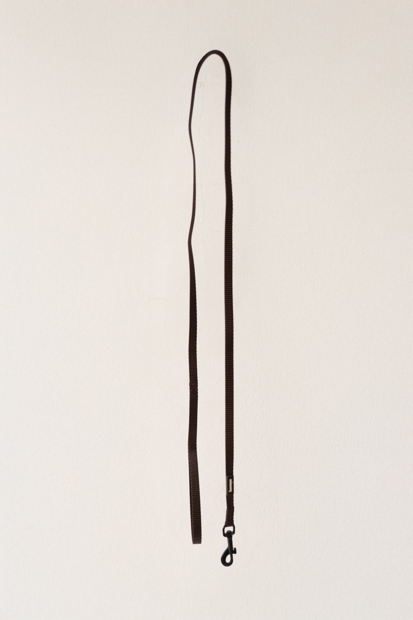 Laisse chocolat chiot / chaton 1,2m