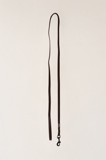 Laisse chocolat chiot / chaton 1,2m