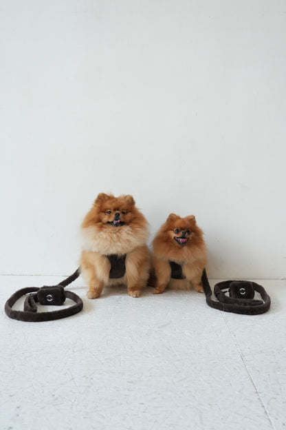 Harnais + Laisse + sac en fourrure