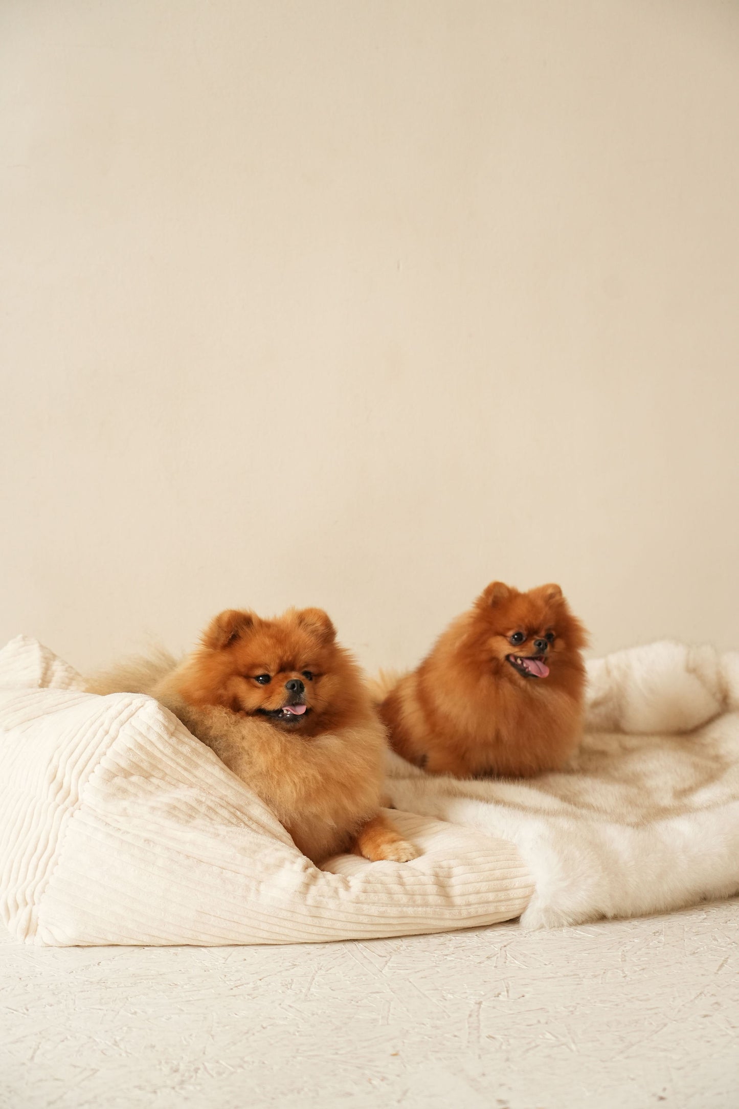 Le Moon – Grotte en Fausse Fourrure Haut de Gamme