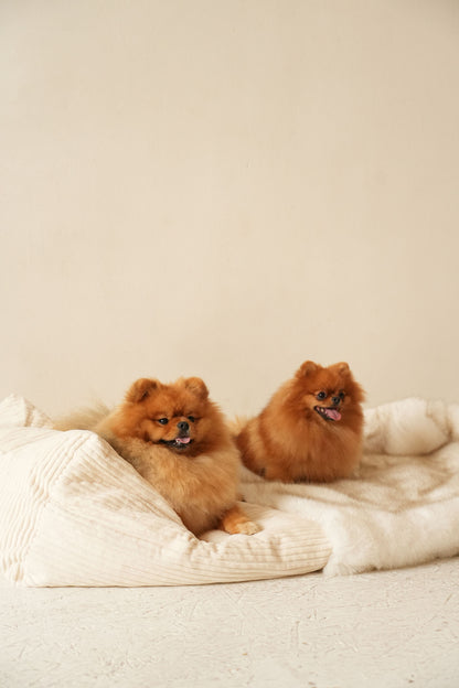 Le Moon – Grotte en Fausse Fourrure Haut de Gamme