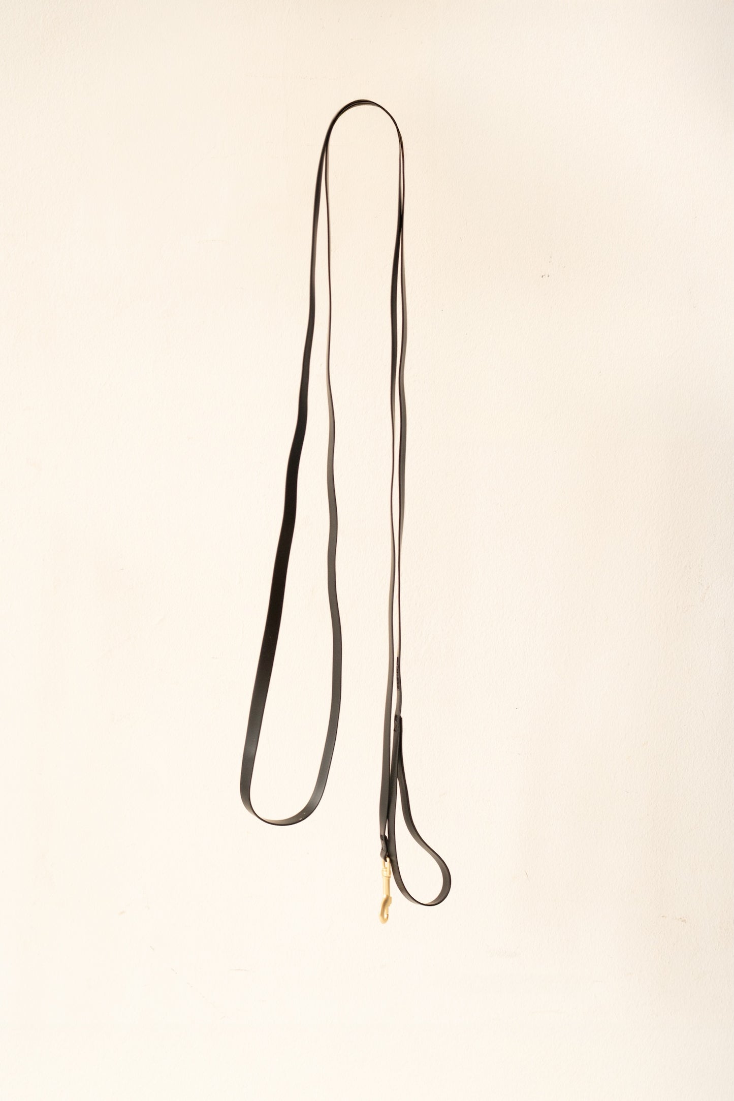 Laisse Prestige noir