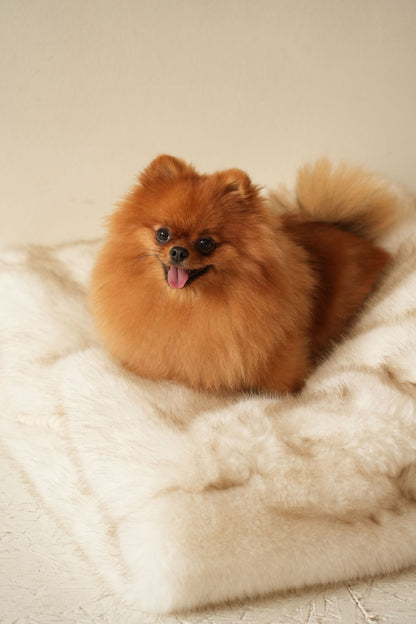 Le Moon – Grotte en Fausse Fourrure Haut de Gamme