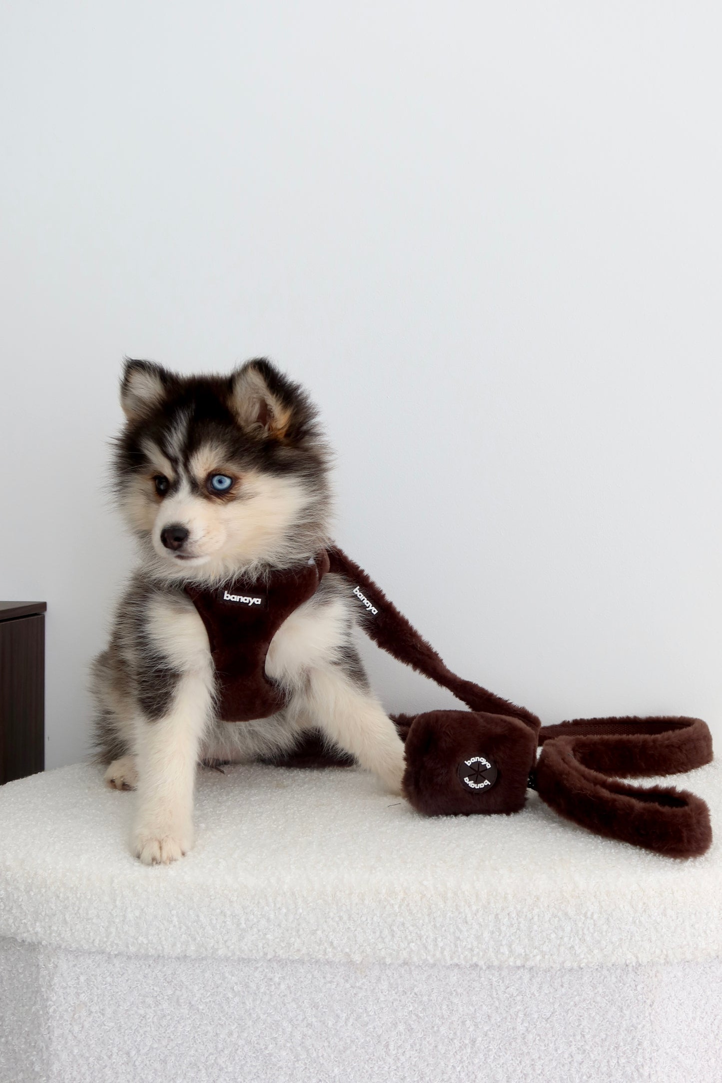 Harnais + Laisse + sac en fourrure