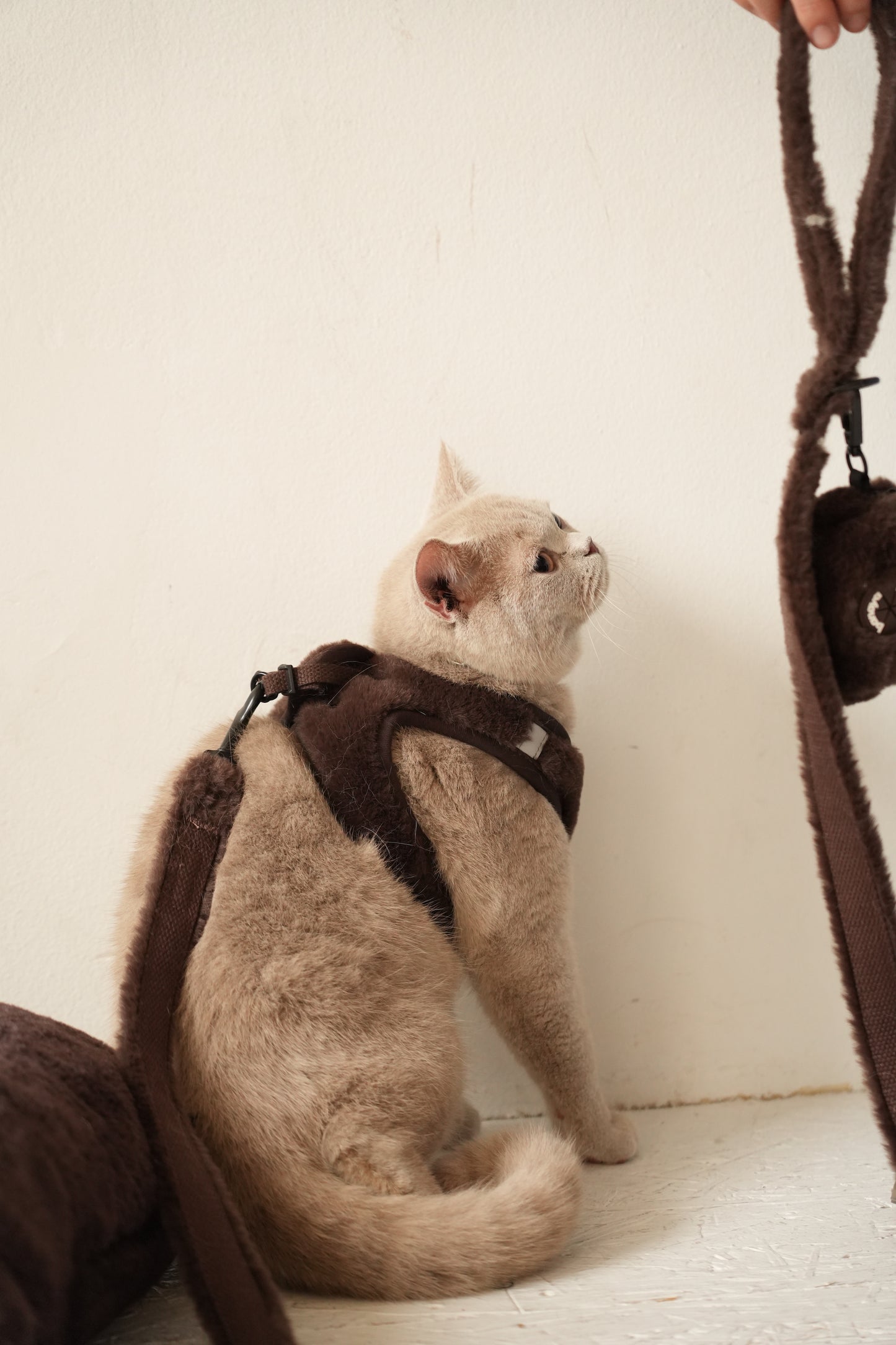 Harnais + Laisse + sac en fourrure